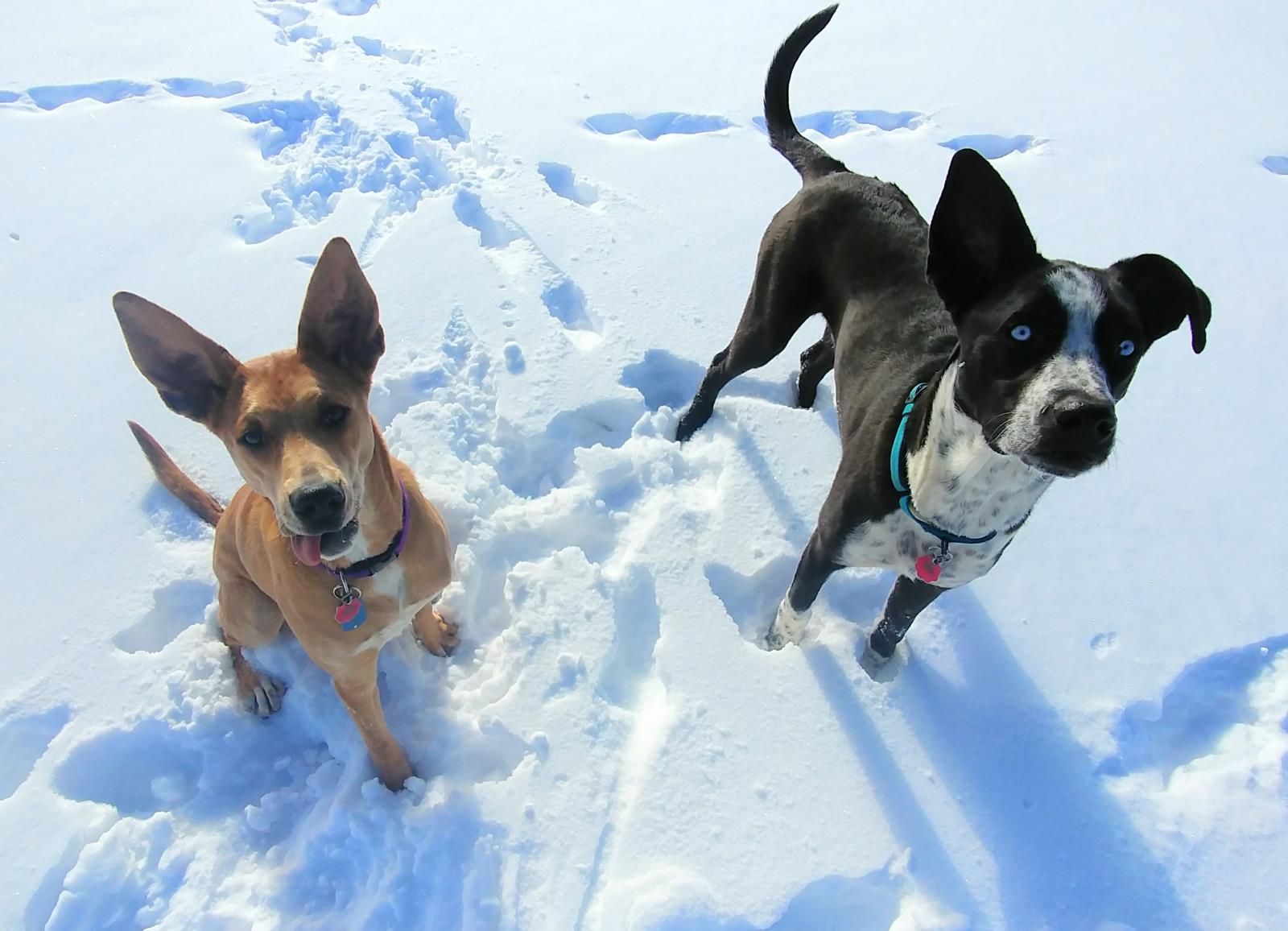 Roo and Simon