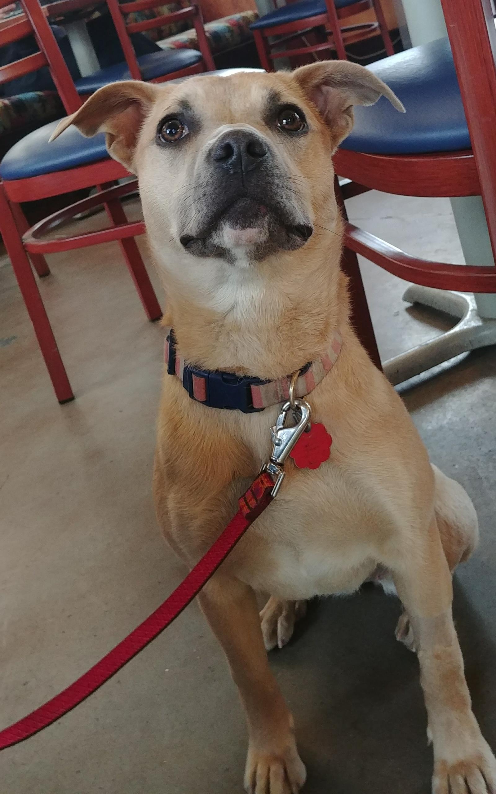 Sugar aka Luna