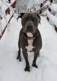 Oakley
